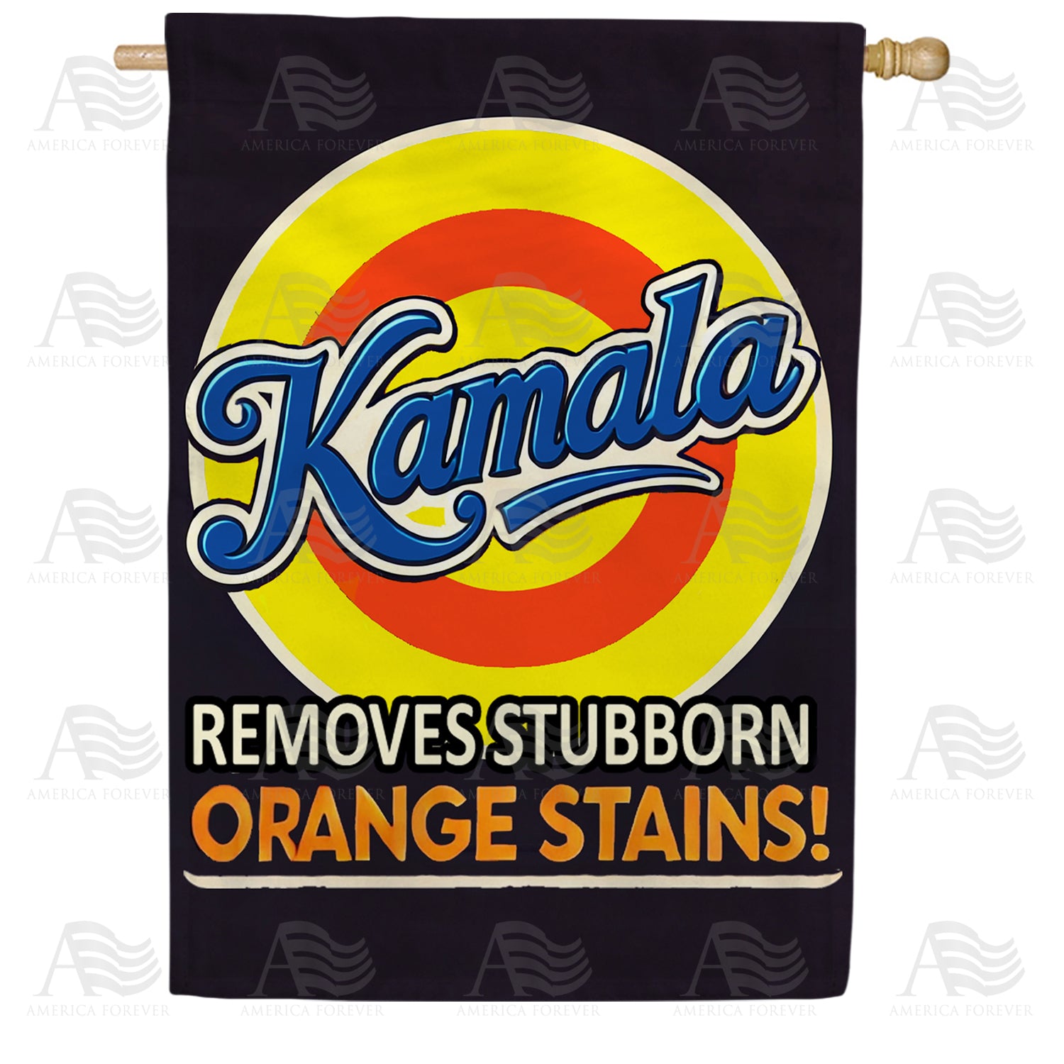 Kamala Harris Removes Orange Stains House Flag