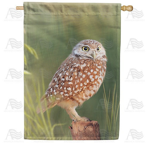 Burrowing Owl House Flag