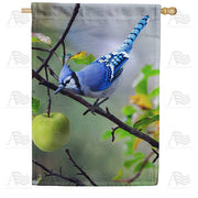 Blue Jay In Apple Tree House Flag