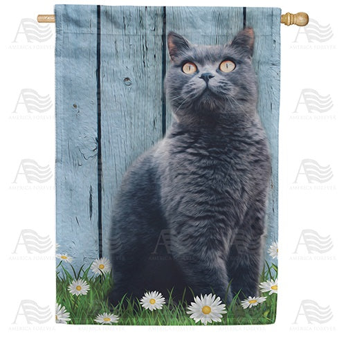 Cat House Flags – Just For Fun Flags