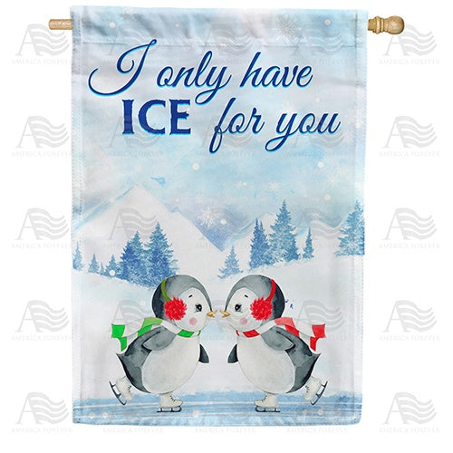 Cute Penguin Skaters House Flag